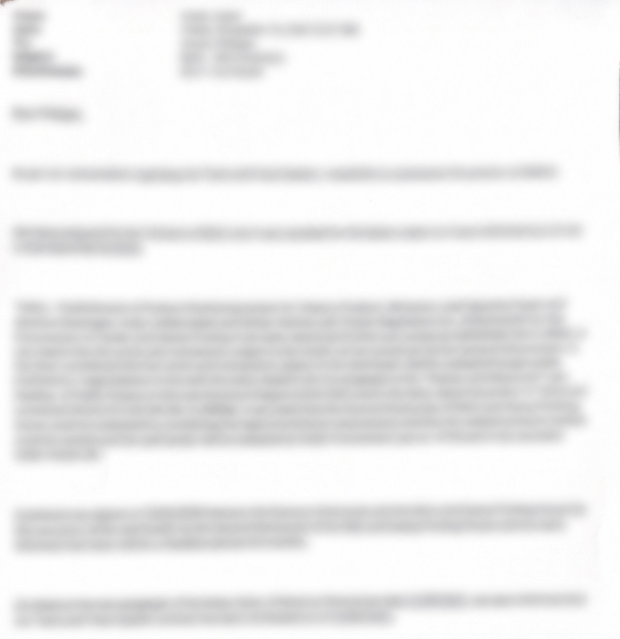 13 November 2020 — Aykut Ferah. Subject: BUIS - Mint Summary. Permanently blurred email preview from page 7 of the analysis file.