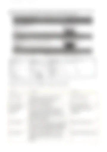 Page 13 of the analysis file; a permanently blurred preview.